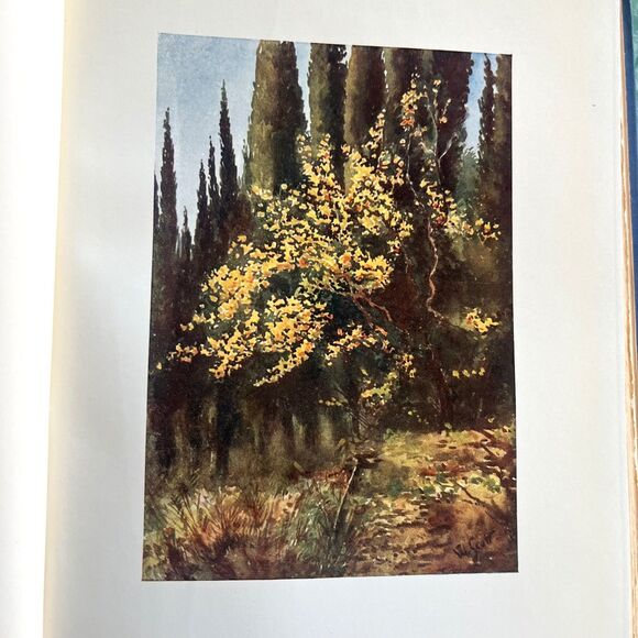 Antique Book The Riviera Painted & Described by William Scott 1st Edition 1907 - Picture 12 of 16